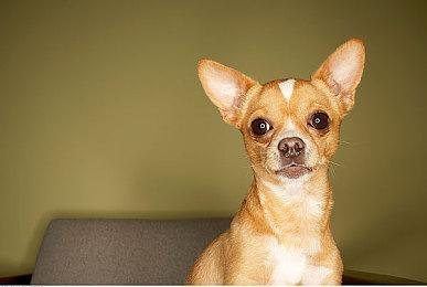 《Dark and Darker》将有内购 官方：还不知道卖什么